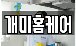 개미홈케어
