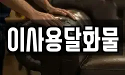 이사용달화물