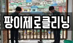 팡이제로클리닝