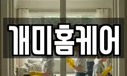 개미홈케어