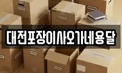 대전포장이사오가네용달