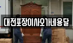 대전포장이사오가네용달