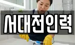 서대전인력