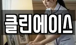 클린에이스