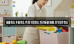 원룸청소.투룸청소.쓰레기집청소.반려동물냄새,상가입주청소