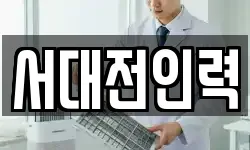 서대전인력