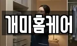 개미홈케어