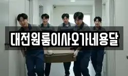 대전원룸이사오가네용달