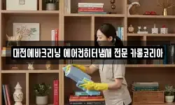 대전에바크리닝 에어컨히터냄새 전문 카롱코리아
