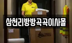 삼천리방방곡곡이사몰