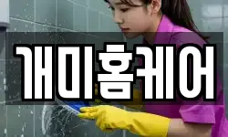 개미홈케어