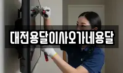 대전용달이사오가네용달
