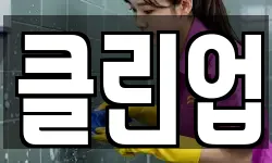 클린업