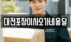 대전포장이사오가네용달