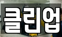 클린업