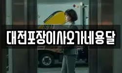 대전포장이사오가네용달