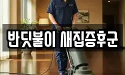 대전광역시 중구 선화동 청소,입주청소,사무실청소,에어컨청소