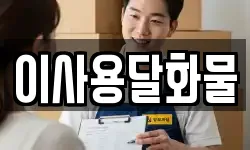 대전광역시 중구 선화동 이사,용달이사,포장이사,원룸이사,보관이사