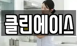 클린에이스