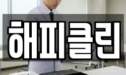 해피클린