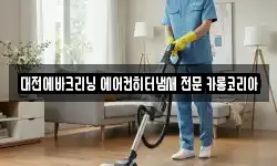 대전에바크리닝 에어컨히터냄새 전문 카롱코리아