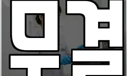 무결
