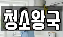청소왕국