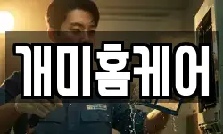 개미홈케어