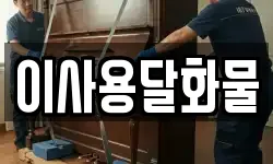 이사용달화물