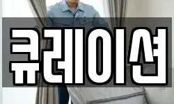 큐레이션