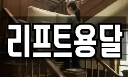 리프트용달