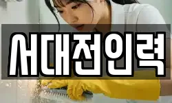 서대전인력