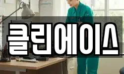 클린에이스