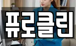퓨로클린