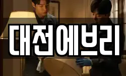 대전에브리