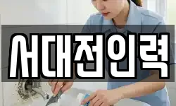 서대전인력