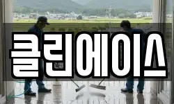 클린에이스