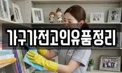 가구가전고인유품정리