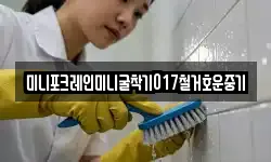 미니포크레인미니굴착기017철거호운중기