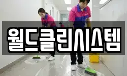 대전광역시 중구 태평동 청소,입주청소,사무실청소,에어컨청소