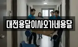 대전용달이사오가네용달