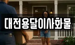 대전용달이사화물