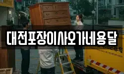 대전포장이사오가네용달