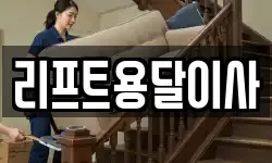 리프트용달이사