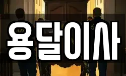 용달이사