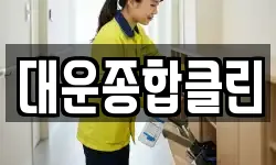 대운종합클린
