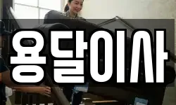 용달이사