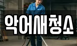 악어새청소