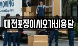 대전포장이사오가네용달