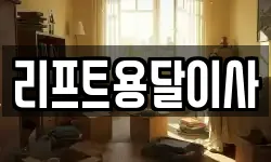 리프트용달이사
